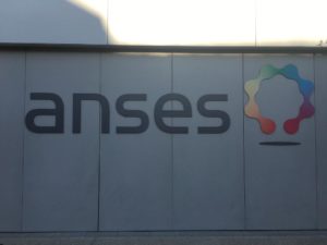 Photo de l'anses