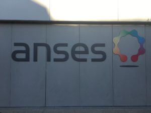 anses