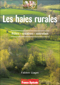 Les-haies-rurales