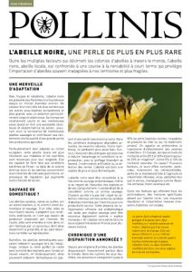 abeille-noire-fiche-thematique-pollinis