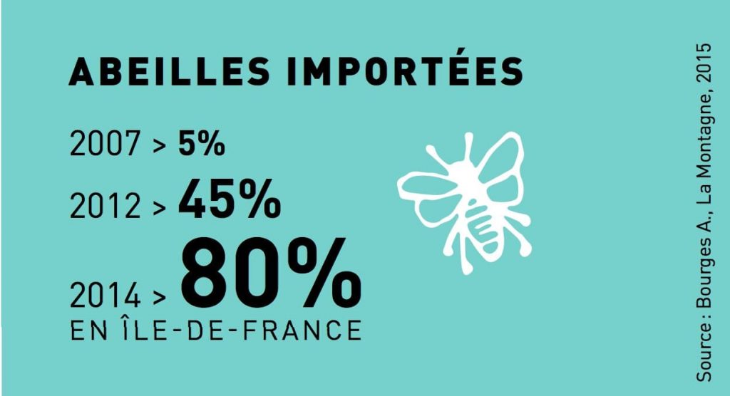 Tableau-abeilles-importees