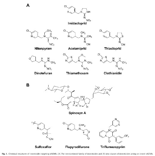 Comparaison-formules-sulfo-neonics