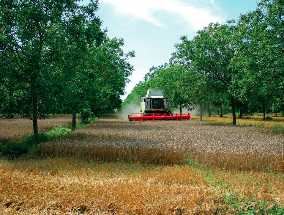 Pratiques agricoles