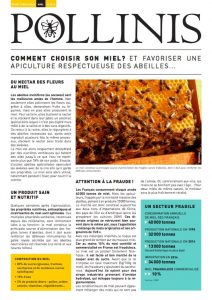 comment-choisir-son-miel-pollinis