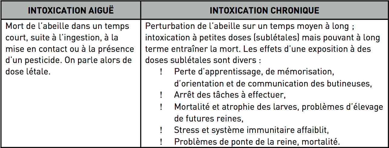 Effets des néonicotinoïdes sur les abeilles.