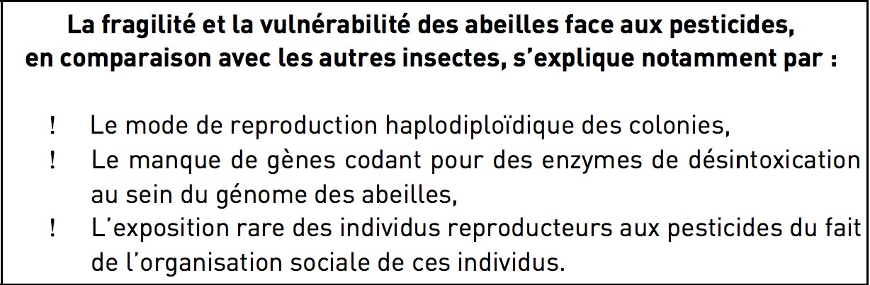 vulnérabilité des abeilles