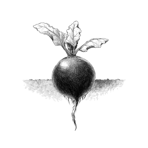 agriculture