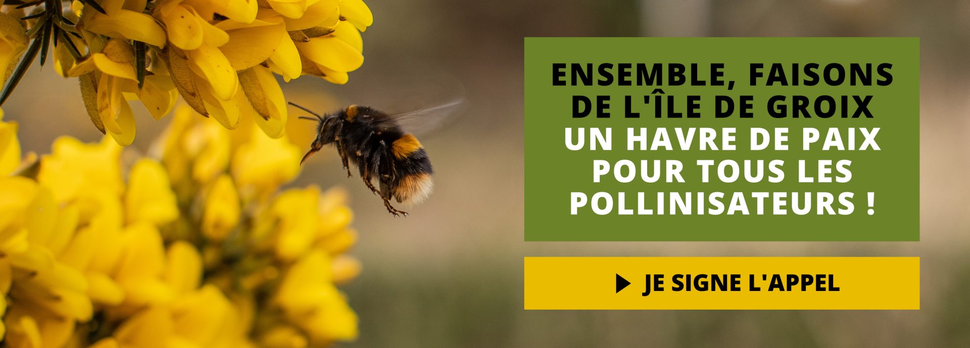 GROIX_siteweb_slide