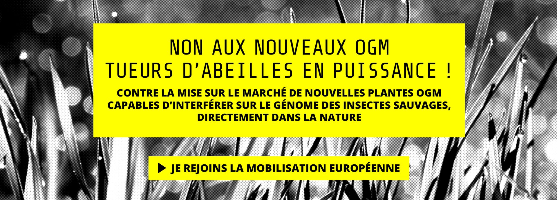 OGM_siteweb_slide