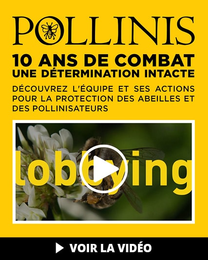 POLLINIS_slide_mobile_10ANS