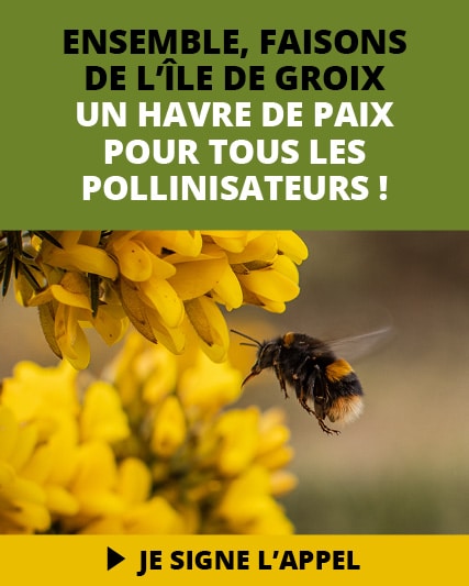 POLLINIS_slide_mobile_Groix
