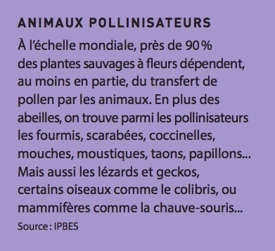 animaux-pollinisateurs-encadre-fiche-thematique