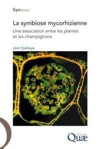 La-symbiose-mycorhizienne