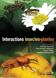 Interactions-insectes-plantes