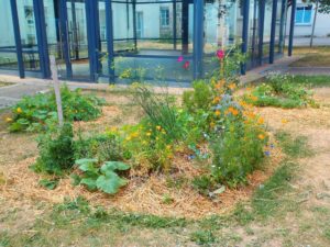 Parcelle-photo-Cantal-Dupart jardin fleuri