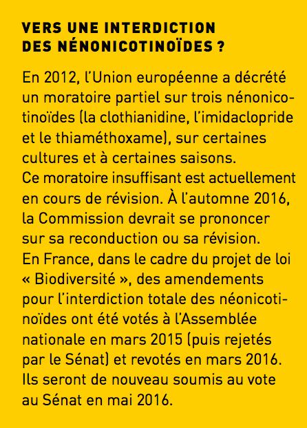 vers une interdiction des néonics