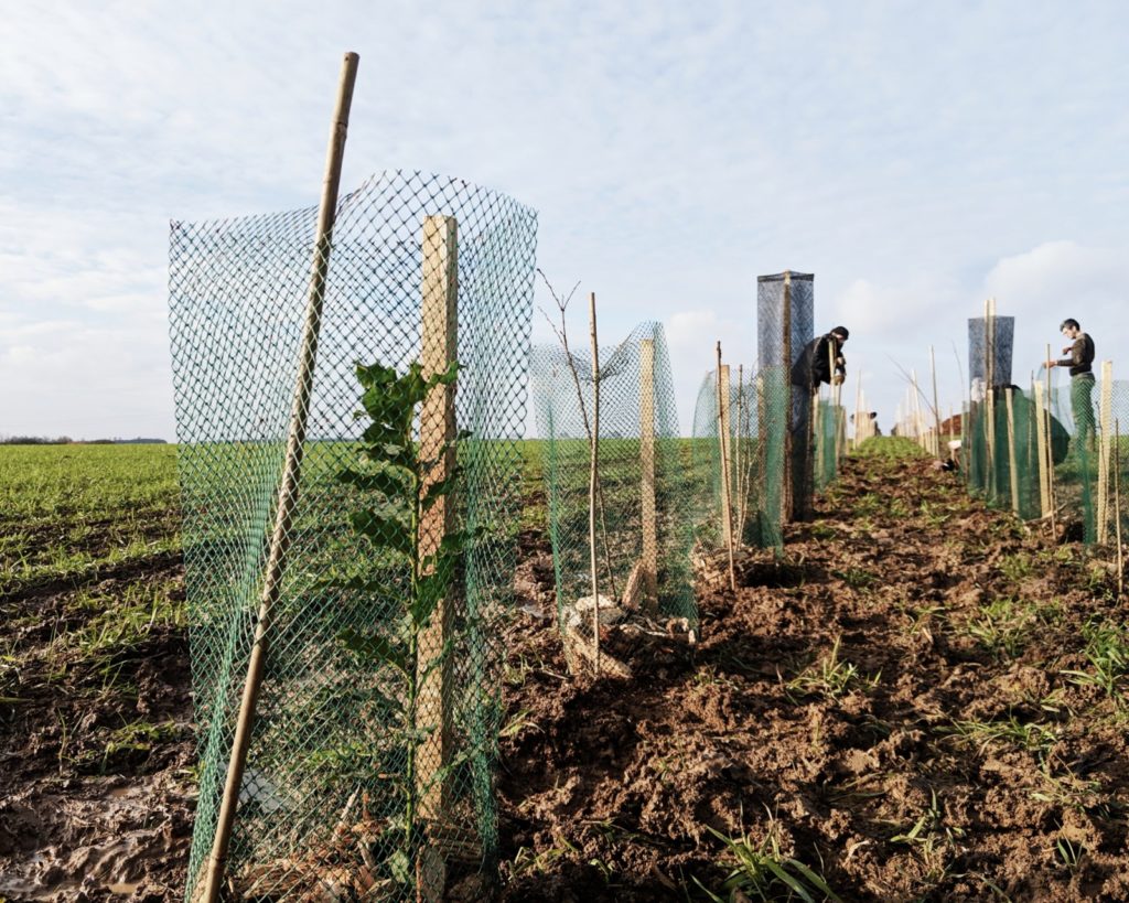 journee-plantation-germainville-haies-pour-pollinisateurs