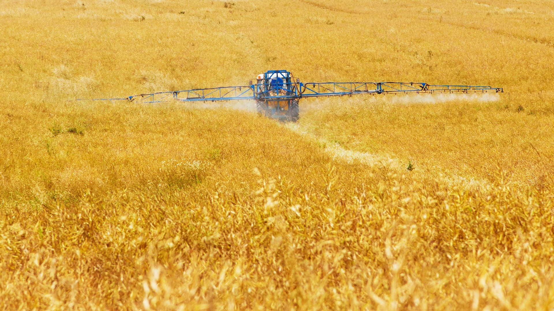 agriculture-pixabay89168_1920-pesticides-SDHI