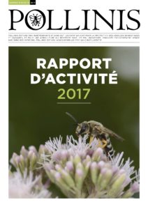 Rapport-dactivité-2017