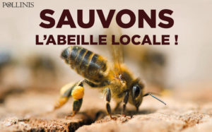 sauvons-labeille-locale