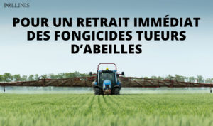 sdhi-campagne-pour-site-aspect-ratio-340x200