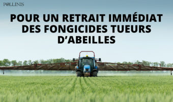 sdhi-campagne-pour-site-aspect-ratio-340x200