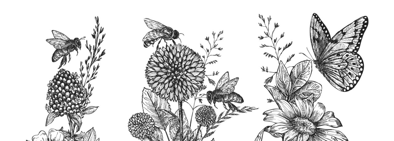 illustration2-1-aspect-ratio-1500x540