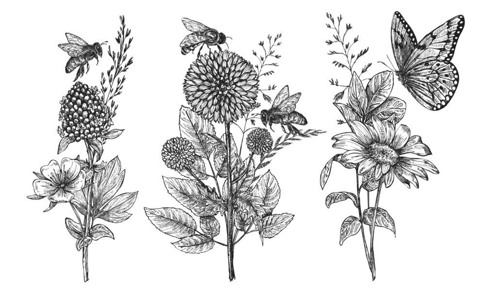 illustration2-1-aspect-ratio-340x200