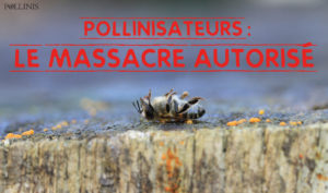 lemassacreautorisecampagnerouge-aspect-ratio-340x200