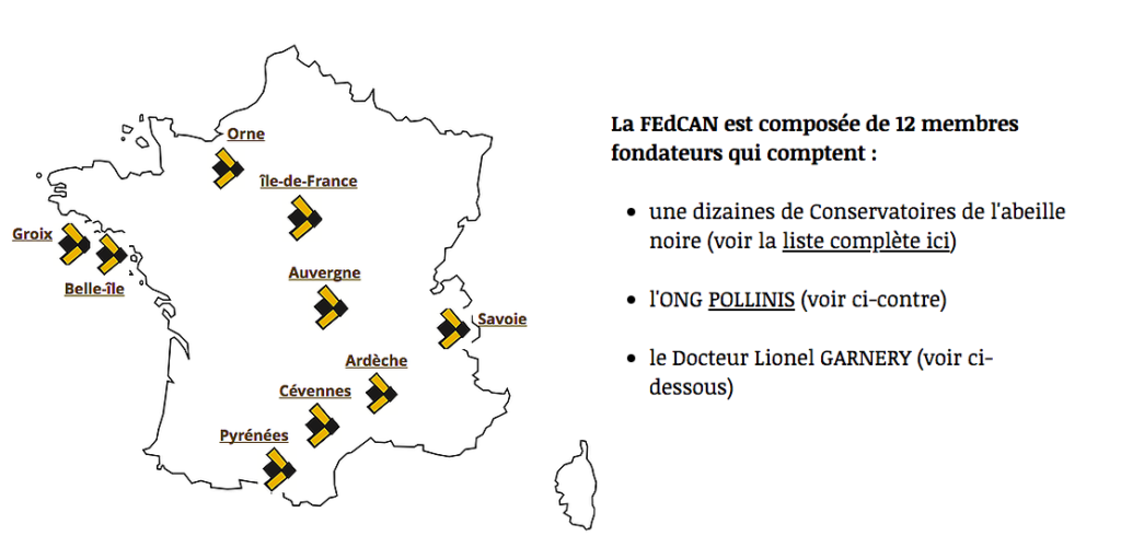 FEDCAN-infographie