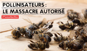 publi-insta-petition-europeenne-aspect-ratio-340x200