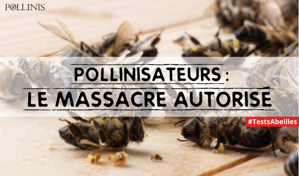 Abeilles mortes avec texte indiquant : Pollinisateurs : le massacre autorisé.