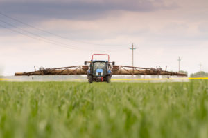 Wheat spraying