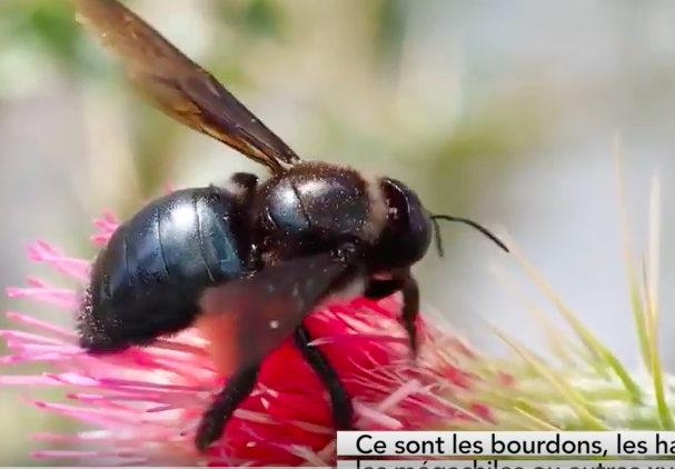 screen-shot-2018-10-01-at-6.13.34-pm-aspect-ratio-236x164