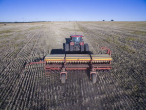 Agriculture intensive, Argentine