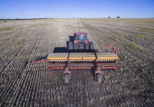 agriculture-intensive-argentine-cfoto4440-stock.adobe-.com--aspect-ratio-236x164