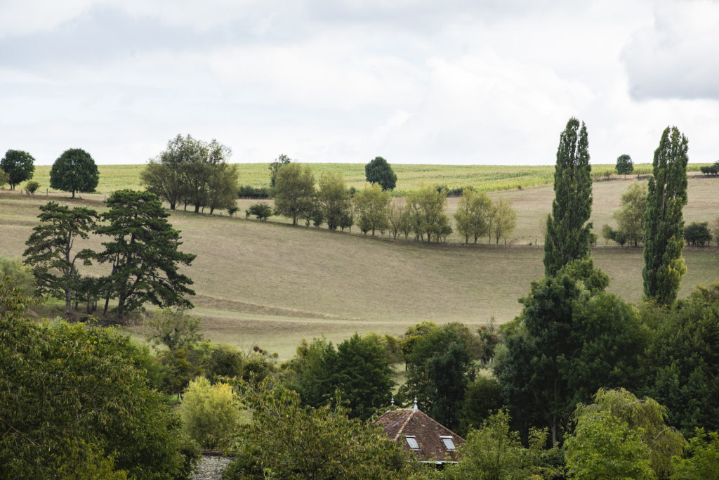 Les vergers de Mothois