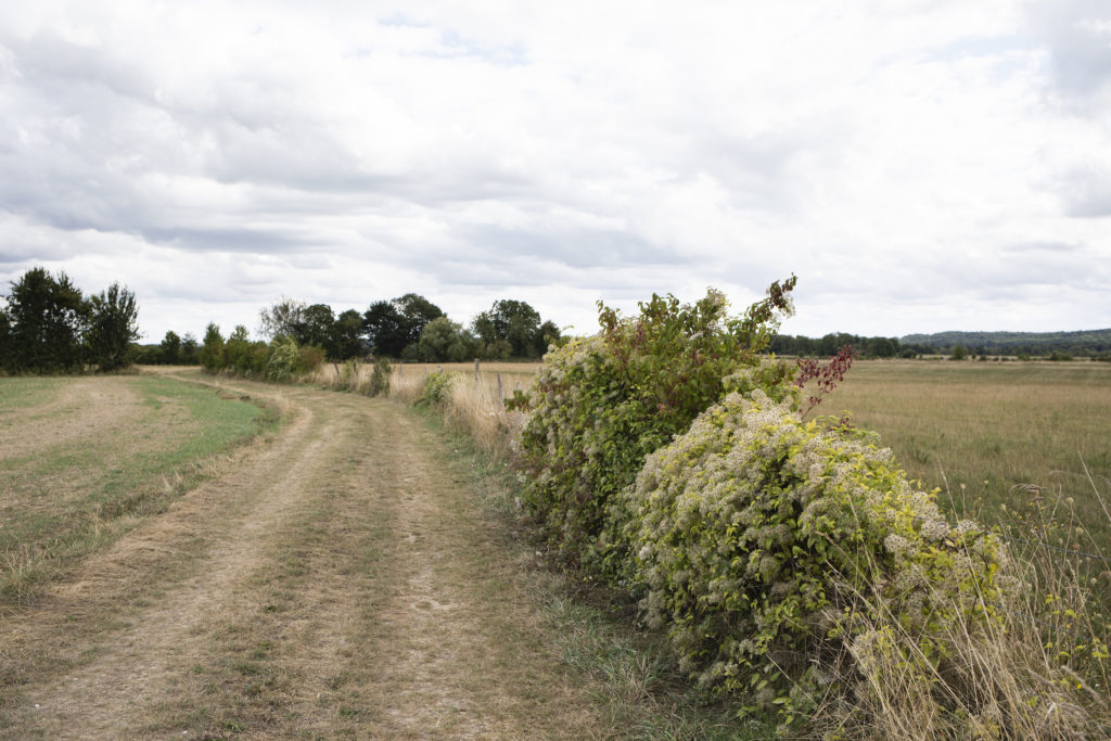 EARL du Chemin neuf-Olivier Ranke