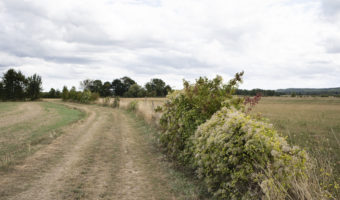 EARL du Chemin neuf-Olivier Ranke