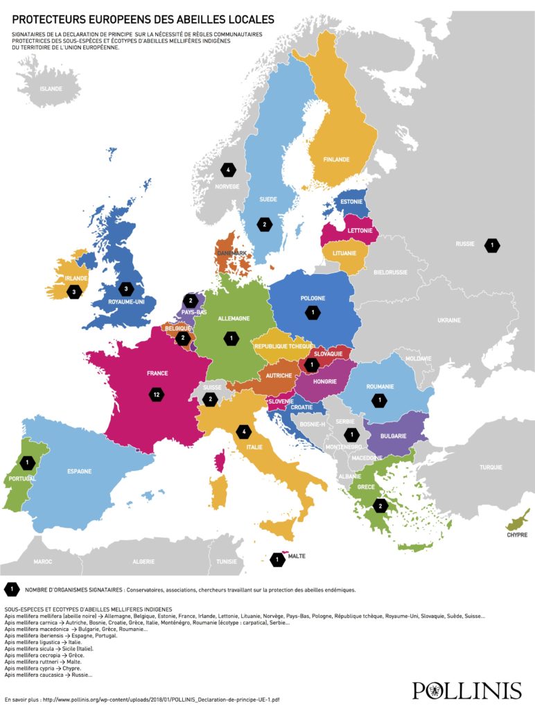 carte europe coalition 2018