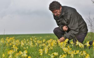 faune-ou-flore-depuis-1994-vincent-bretagnolle-et-son-equipe-du-cnrs-de-chize-menent-un-etat-des-lieux-de-lecosysteme-des-plaines-agricoles