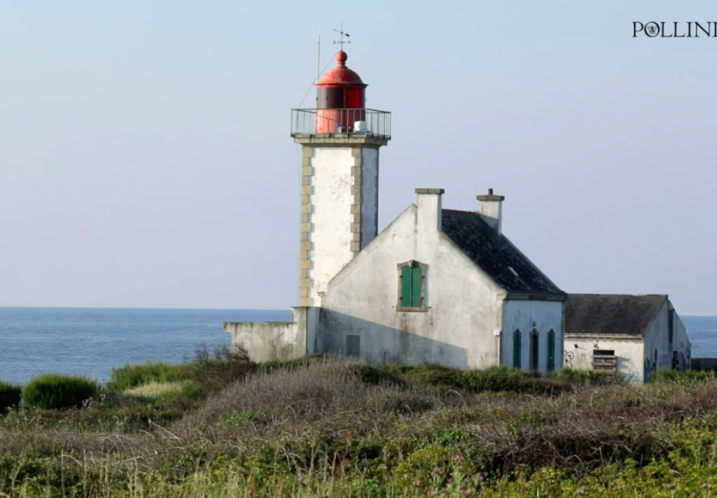 screen-shot-2019-07-24-at-6.19.15-pm-aspect-ratio-236x164