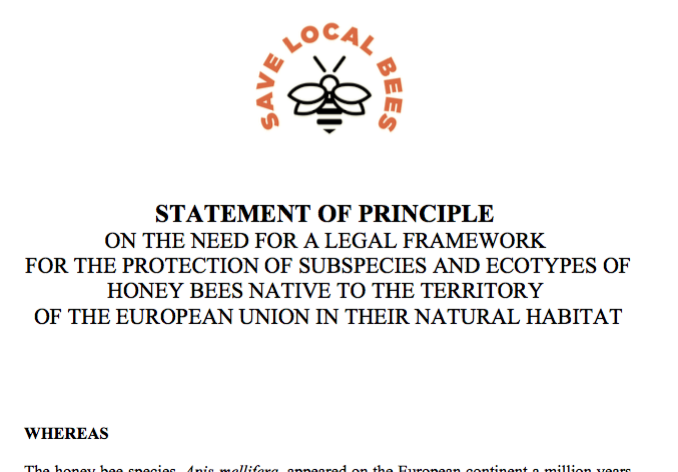 statement-of-principle-aspect-ratio-236x164