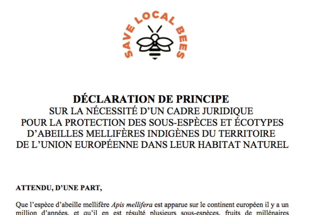 visuel-declaration-de-principe-aspect-ratio-236x164