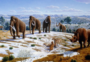 faune-de-lage-de-glace-au-nord-de-lespagne-2008-mauricio-anton-aspect-ratio-236x164