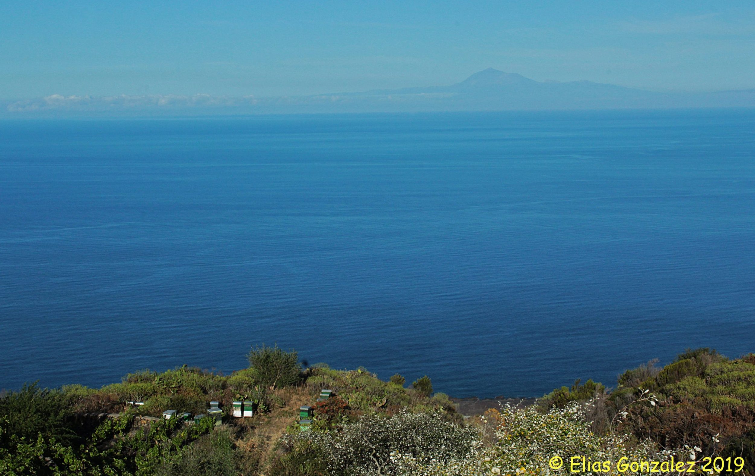 ruches La Palma Canaries