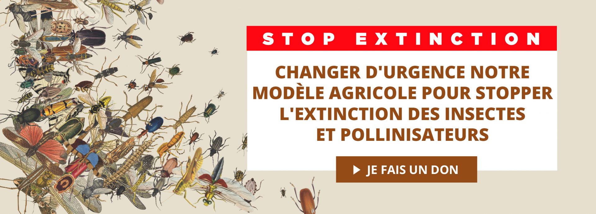 STOPEXTINCTION_slide-siteweb_V1