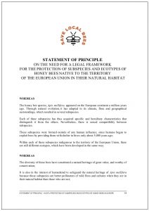 statement of principle ue-2019endef