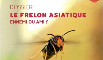 couv Abeilles en liberté 7
