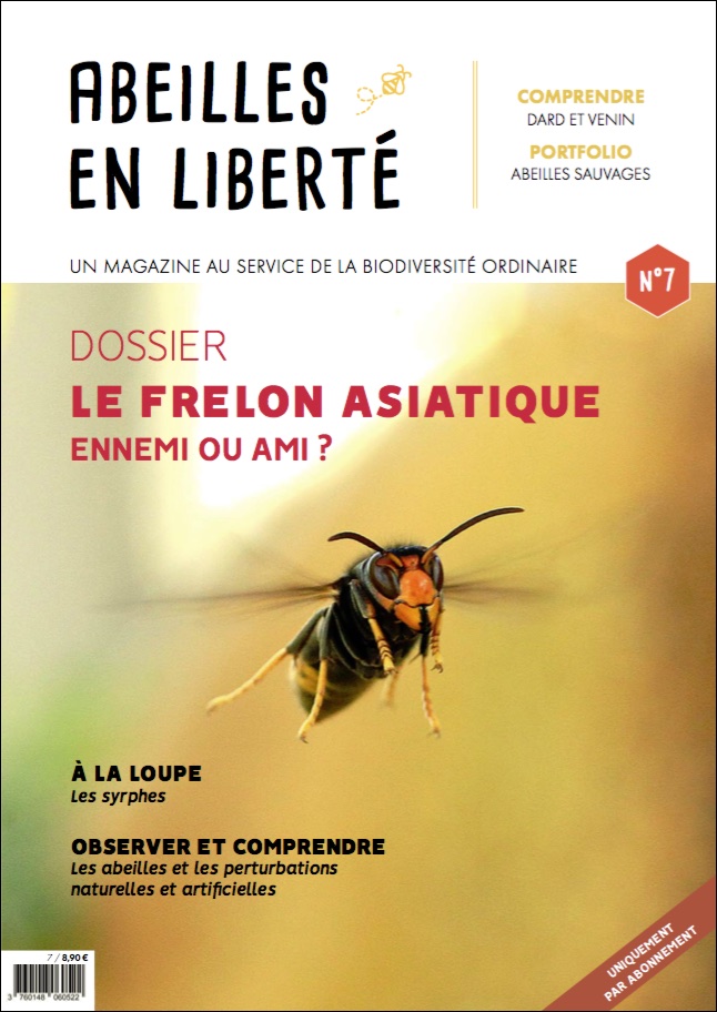Frelon Asiatique Une Lutte Propre Sans Chimie Contre Ce Predateur D Abeilles Pollinis